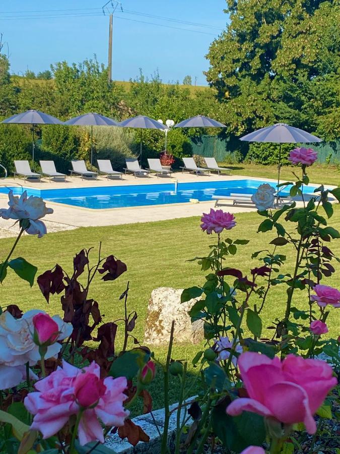 Le Petit Bleu Chambre D'Hotes Bourg-de-Visa Esterno foto